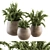 180 Indoor Plant Set: Pot & Greenery! 3D model small image 1