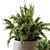 180 Indoor Plant Set: Pot & Greenery! 3D model small image 3