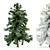 Alaska Cedar: From Spring to Winter 3D model small image 1