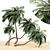 Tropical Paradise: 4 Coconut Palms 3D model small image 1