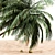 Tropical Paradise: 4 Coconut Palms 3D model small image 3