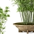 Rustic Bamboo Outdoor Plants - Set 56 3D model small image 2