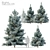Norway Blue Spruce: Vray Material, 3.5m-6.5m Height 3D model small image 1