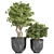 Stunning Outdoor Plant: 08 3D model small image 2