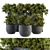 Botanical Bliss: Indoor Plant Set 3D model small image 1