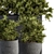 Botanical Bliss: Indoor Plant Set 3D model small image 3