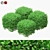 4 Square Boxwood Bushes - 84-102cm 3D model small image 1