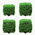 4 Square Boxwood Bushes - 84-102cm 3D model small image 2