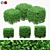 4 Square Boxwood Bushes - 84-102cm 3D model small image 6