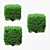 4 Square Boxwood Bushes - 84-102cm 3D model small image 7