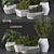 Outdoor Plant Collection 3D model small image 1