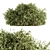 Lush Ficus Bush - Complete Set 3D model small image 1