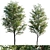 Sorbus 4.5m & 3.8m: 900 Polys 3D model small image 1