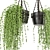 Rustic Hanging Plants Set with Macrame 3D model small image 4