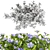 Compact Periwinkle Bushes | Vinca Minor 3D model small image 9