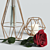 Elegant Red Rose Decor Set 3D model small image 19