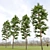 Scots Pine Tree 3D Model 3D model small image 3