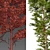 Scots Pine Tree 3D Model 3D model small image 4