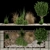 Volume 98 Plant Collection: High-Quality Textures & Materials 3D model small image 1