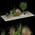 Volume 98 Plant Collection: High-Quality Textures & Materials 3D model small image 4
