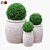 Green Boxwood Trio in Chic Ceramic Pots 3D model small image 1