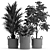 Diverse Plant Collection: 447 Varieties 3D model small image 2