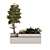 Evergreen Tree Box Set 3D model small image 3