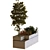 Evergreen Tree Box Set 3D model small image 4