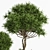 Indoor/Outdoor Decor Accent: Outdoor Plants Tree 04 3D model small image 4