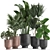 Exotic Plant Collection in Black Pots 3D model small image 1