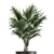 Tropical Palm Collection in Black Pots 3D model small image 2