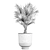 Tropical Palm Collection in Black Pots 3D model small image 5