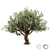 Stunning 3D Tree Model 3D model small image 5