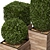 3 Model Shape Bush Plant 3D model small image 2