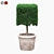 Square Boxwood Bush in White Pot | 565095 Polygons 3D model small image 1