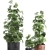 Modern Plant Collection with Vig Planter L Set 3D model small image 2