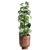 Modern Plant Collection with Vig Planter L Set 3D model small image 4