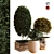 Botanical Box Set 038: Lush Greenery for Your Space 3D model small image 1