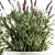 Indoor Lavender Bush - Plant Set 3D model small image 3