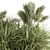 Pampas Oasis - 21 Bush Set 3D model small image 3