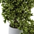 Outdoor Tree Set: Concrete Pot Ensemble 3D model small image 4