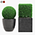 Artificial Buxus Topiary Plant 3D model small image 1