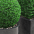 Artificial Buxus Topiary Plant 3D model small image 2