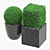 Artificial Buxus Topiary Plant 3D model small image 3