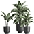 Tropical Paradise Plant Collection 3D model small image 1