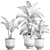 Tropical Paradise Plant Collection 3D model small image 5