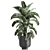 Tropical Plant Paradise: Exotic Banana Palm, Ravenala & Strelitzia 3D model small image 1