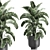 Tropical Plant Paradise: Exotic Banana Palm, Ravenala & Strelitzia 3D model small image 4