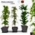 3D Greenery Collection: Indoor Plants 3D model small image 1