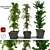 3D Greenery Collection: Indoor Plants 3D model small image 2